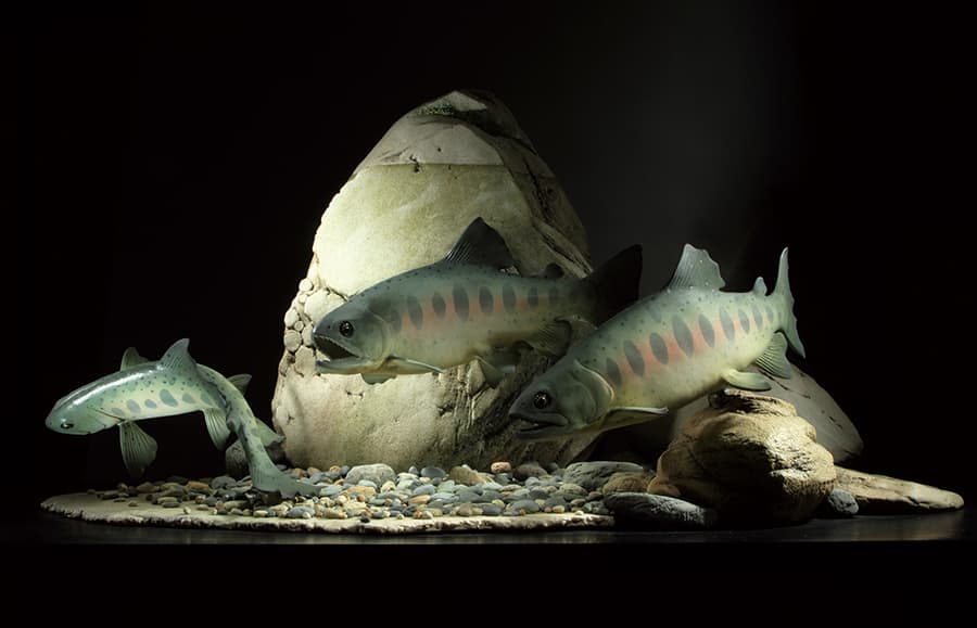 李國欽陶瓷藝術作品-櫻花鉤吻鮭